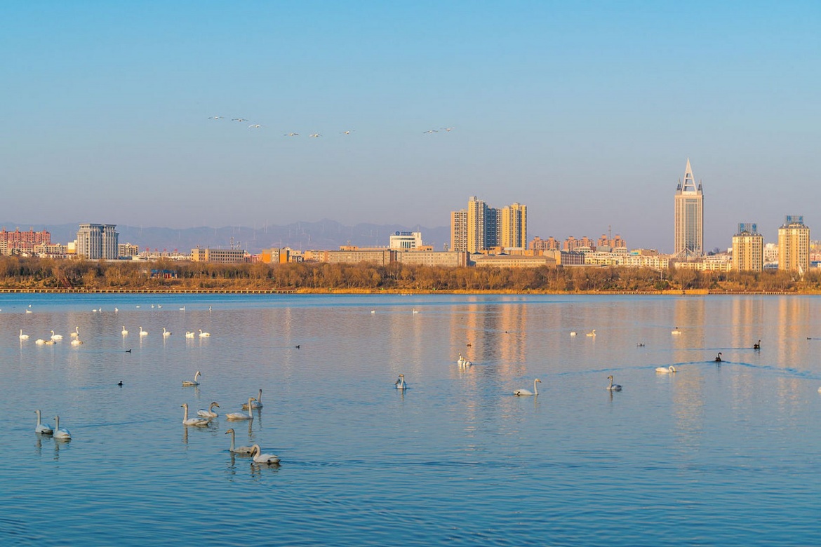 Swan Lake